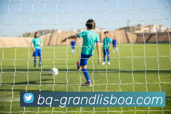 新葡京娱乐平台生态图